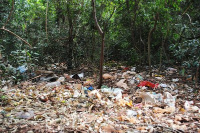 Lixo integra cenário atual da mata presente na Vila Beatriz