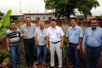 Citronela: após retirada de mudas, projeto  da CMNA segue com combate à dengue