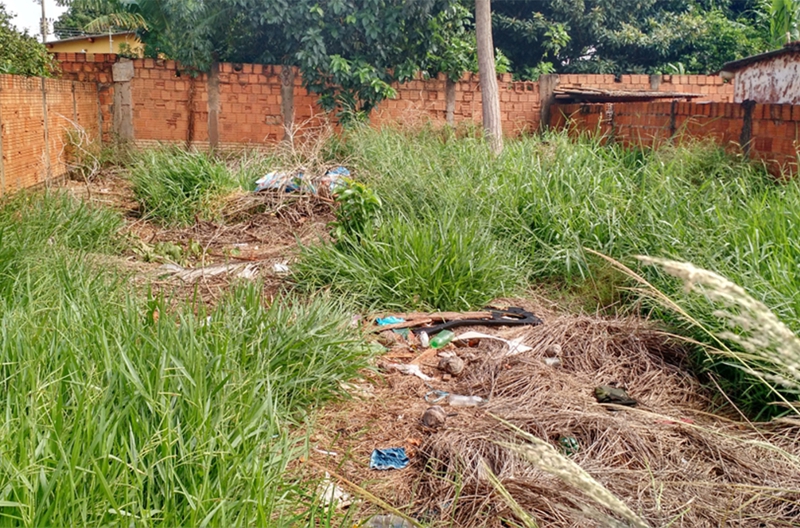 A pedido de moradores, Nenão indica limpeza de três terrenos