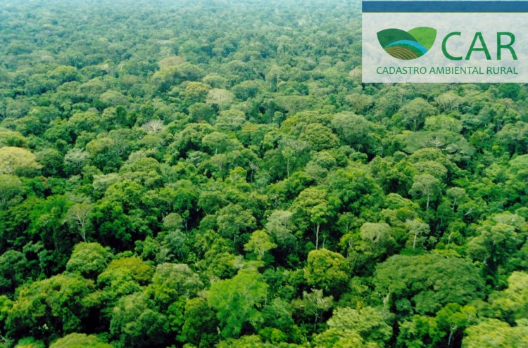 Vereadores solicitam prorrogação do cadastro ambiental rural