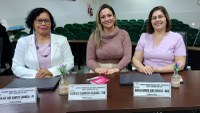 Agora é lei: Maio Furta-Cor prevê ações voltadas à saúde mental materna em Nova Andradina