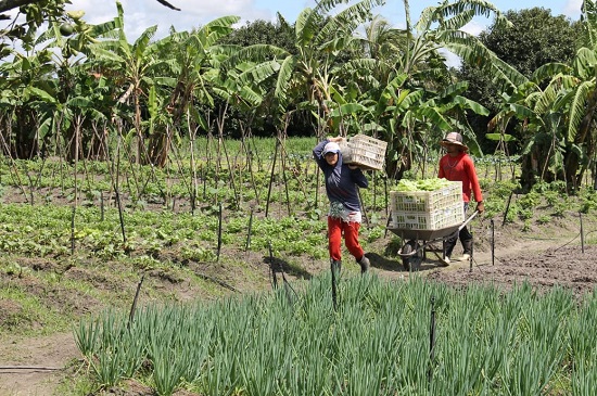 Agricultura familiar, saúde e orientação aos produtores pautam indicações 