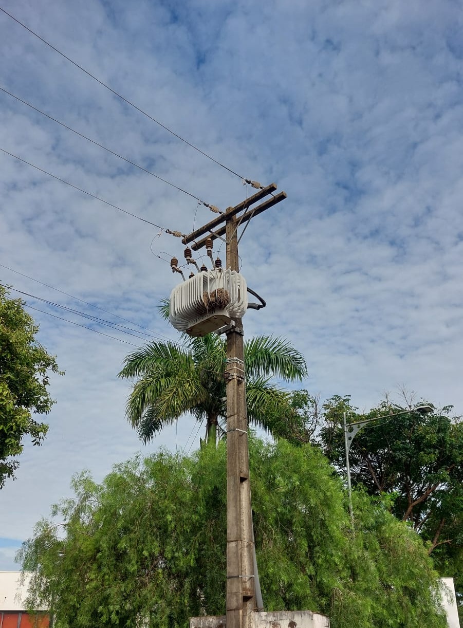 Assentamentos podem ser incluídos em programa de energia trifásica