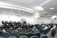 Câmara de Nova Andradina aprova Código Municipal de Direitos dos Animais