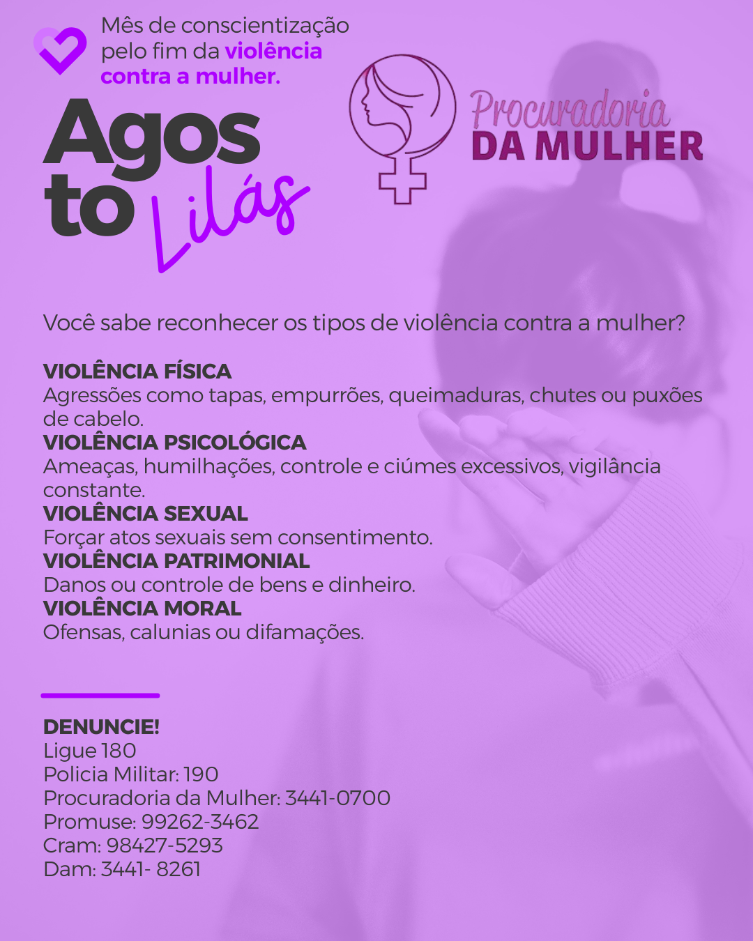 Câmara de Nova Andradina encerra campanha “Agosto Lilás” com sessão especial