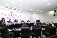 Câmara de Nova Andradina publica pauta da 25ª Sessão Plenária 