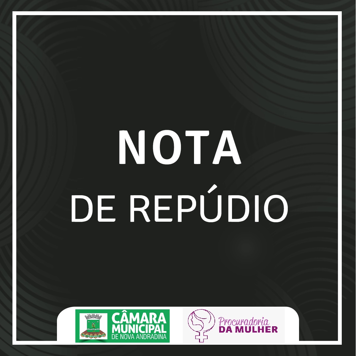Câmara de Nova Andradina repudia crime de feminicídio ocorrido em Ivinhema