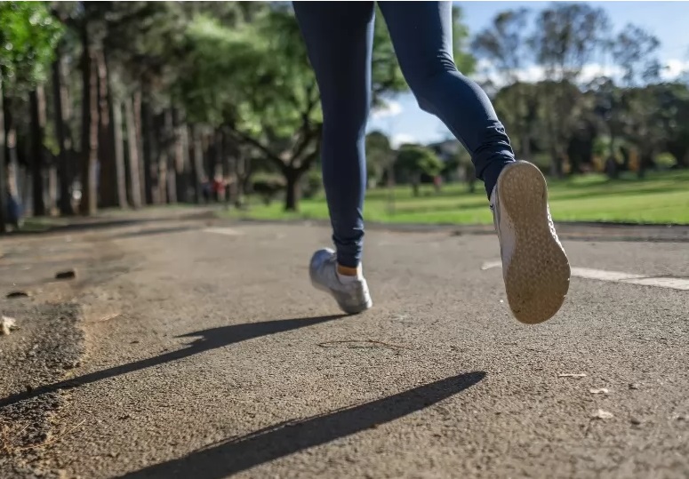 Câmara indica construção de parques para incentivar caminhada e ciclismo 