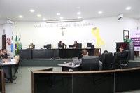 Câmara Municipal defende incentivos aos artesãos de Nova Andradina