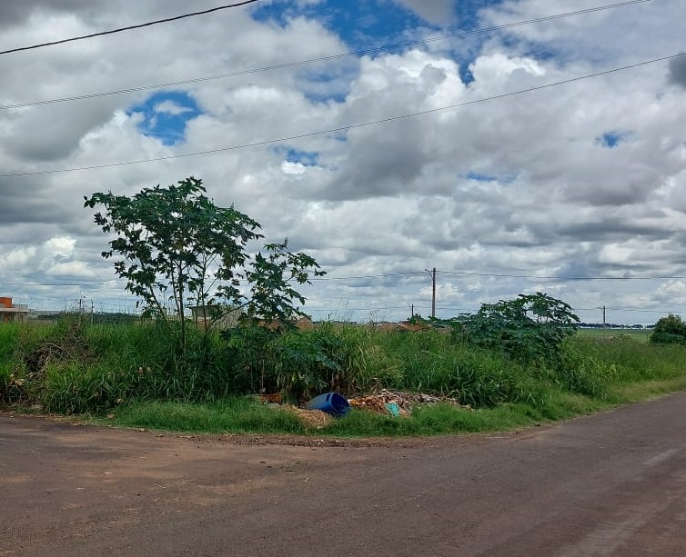 Câmara reforça pedido por câmeras para coibir descarte irregular de lixo em Nova Andradina