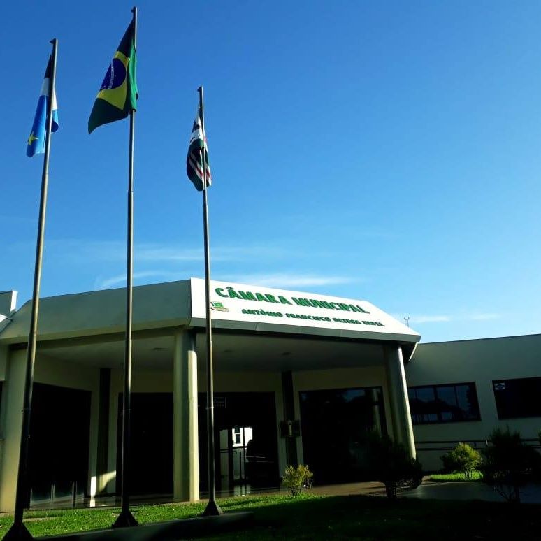 Câmara sugere retomada da campanha “Leão Amigo” e requer informações sobre “Programa Energia Social”