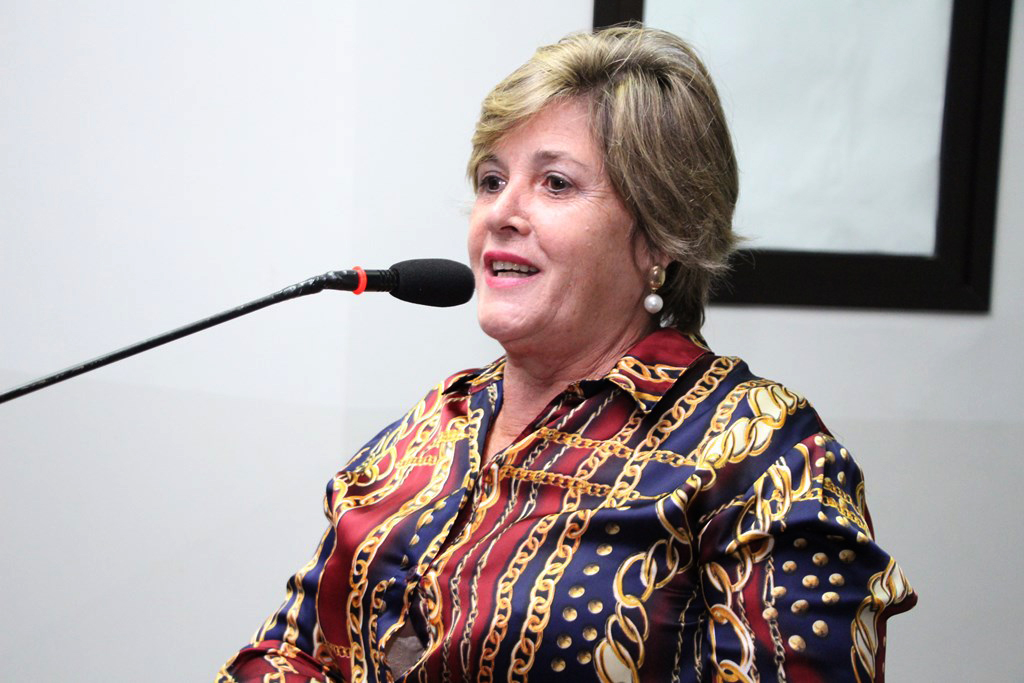 Capacitação de servidores da Seminfra pauta indicação na Câmara 