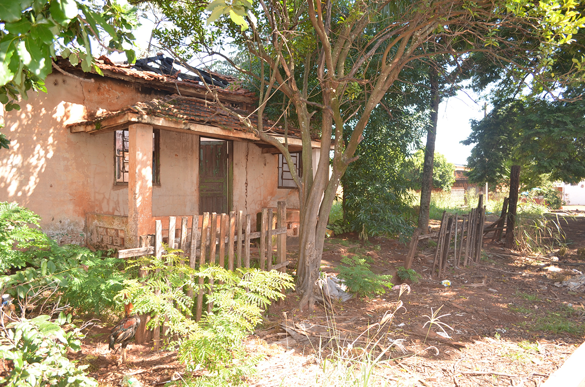 Terreno sujo gera nova indicação do vereador Nenão