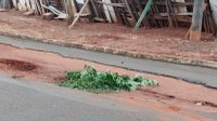 Crescimento de buracos na cidade preocupa e vereadores querem detalhes sobre recapeamento das ruas