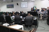 Criação de corredor faunístico pode reduzir acidentes na rodovia MS-134