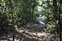 Criação de Parque Ecológico e implantação de Usina de Reciclagem pautam indicações na Câmara