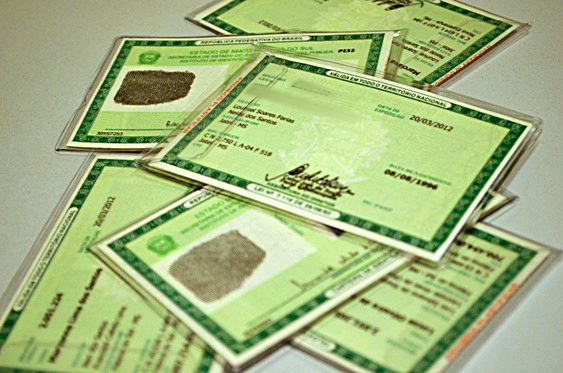 Indicação propõe emissão gratuita de segunda via do RG