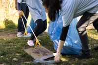 Indicação reivindica cronograma de limpeza para núcleos sociais de assentamentos rurais