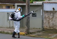 Indicação sugere cronograma de pulverização preventiva contra mosquito da dengue