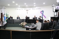 Limpeza de entulhos, lombadas e substituição de lâmpadas: Indicações abarcam demandas da população