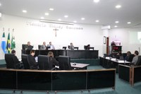 Maio Furta-Cor: Psicóloga destaca Saúde Mental Materna durante sessão da Câmara de Vereadores de Nova Andradina