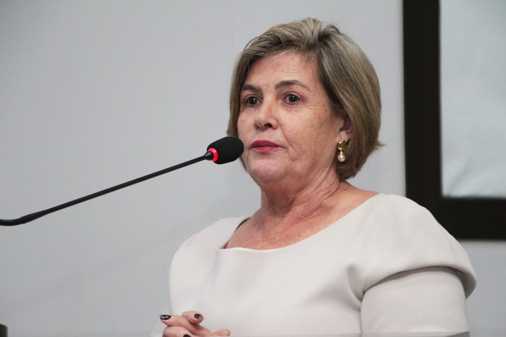 Necessidade de limpeza em rodovia gera indicação na Câmara de Nova Andradina 