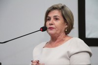 Necessidade de limpeza em rodovia gera indicação na Câmara de Nova Andradina 