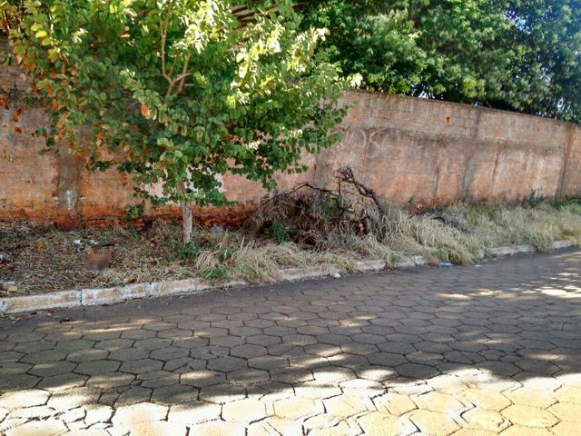 Nenão e Robertinho cobram calçamento no entorno de escola no Centro Educacional