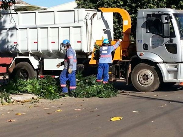 Nenão indica triturador para melhorar coleta de galhos
