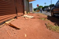 Nenão pede que fiscalização notifique proprietário para evitar acidentes