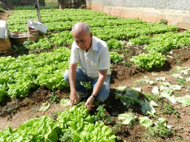 Nenão quer apoio de profissionais para auxiliar na horta do Asilo