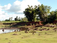 Nenão visita o Santa Olga e ouve reivindicações dos assentados