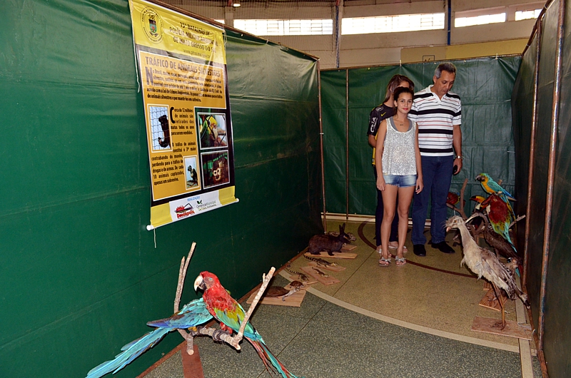 Parceria viabiliza realização da exposição “Labirinto Ecológico” 