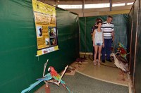 Parceria viabiliza realização da exposição “Labirinto Ecológico” 