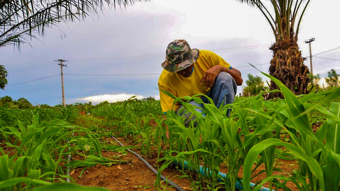 Programa de Fomento à Agricultura Familiar em Nova Andradina é proposto na Câmara 