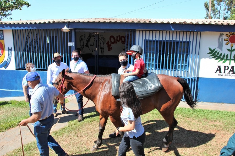 Projeto institui, em Nova Andradina, programa municipal de Equoterapia 