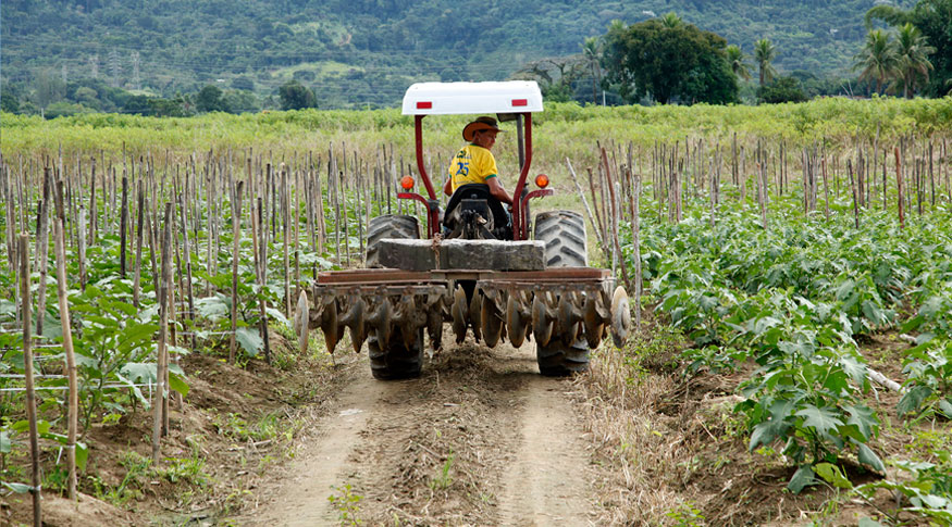 Projeto visa doação de mecânica agrícola para famílias do CadUnico  