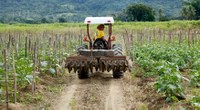 Projeto visa doação de mecânica agrícola para famílias do CadUnico  