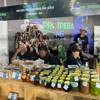 Proposta articula edição do Prospera MS para produtores de Nova Andradina