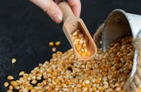 Proposta busca garantir insumos agrícolas a assentamentos rurais