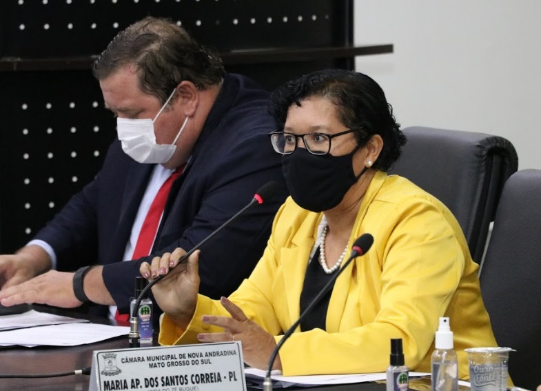 Reforma da Agraer, manutenção de praças e COSIP são destaques na Câmara