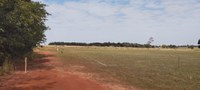 Reforma de campo esportivo mobiliza vereadores e visa garantir estrutura segura para a prática de atividades 