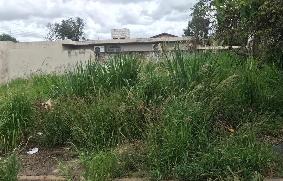 Requerimento cobra informações sobre limpeza de terrenos em Nova Casa Verde