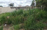 Requerimento cobra informações sobre limpeza de terrenos em Nova Casa Verde