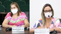 Requerimento pede informações sobre lotes no distrito de Nova Casa Verde