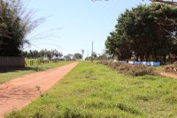 Ricardo Lima e Dr. Sandro pleiteiam melhorias para o Jardim Tropical