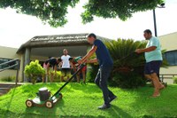 Servidores se mobilizam para melhorar paisagismo da Câmara