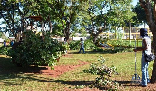 Valter Yasunaka busca informações sobre contratação de empresa para limpeza de áreas públicas