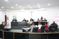 Veja o que foi destaque no 1º semestre da Câmara: emendas impositivas, Escola do Legislativo, SAPL e mais