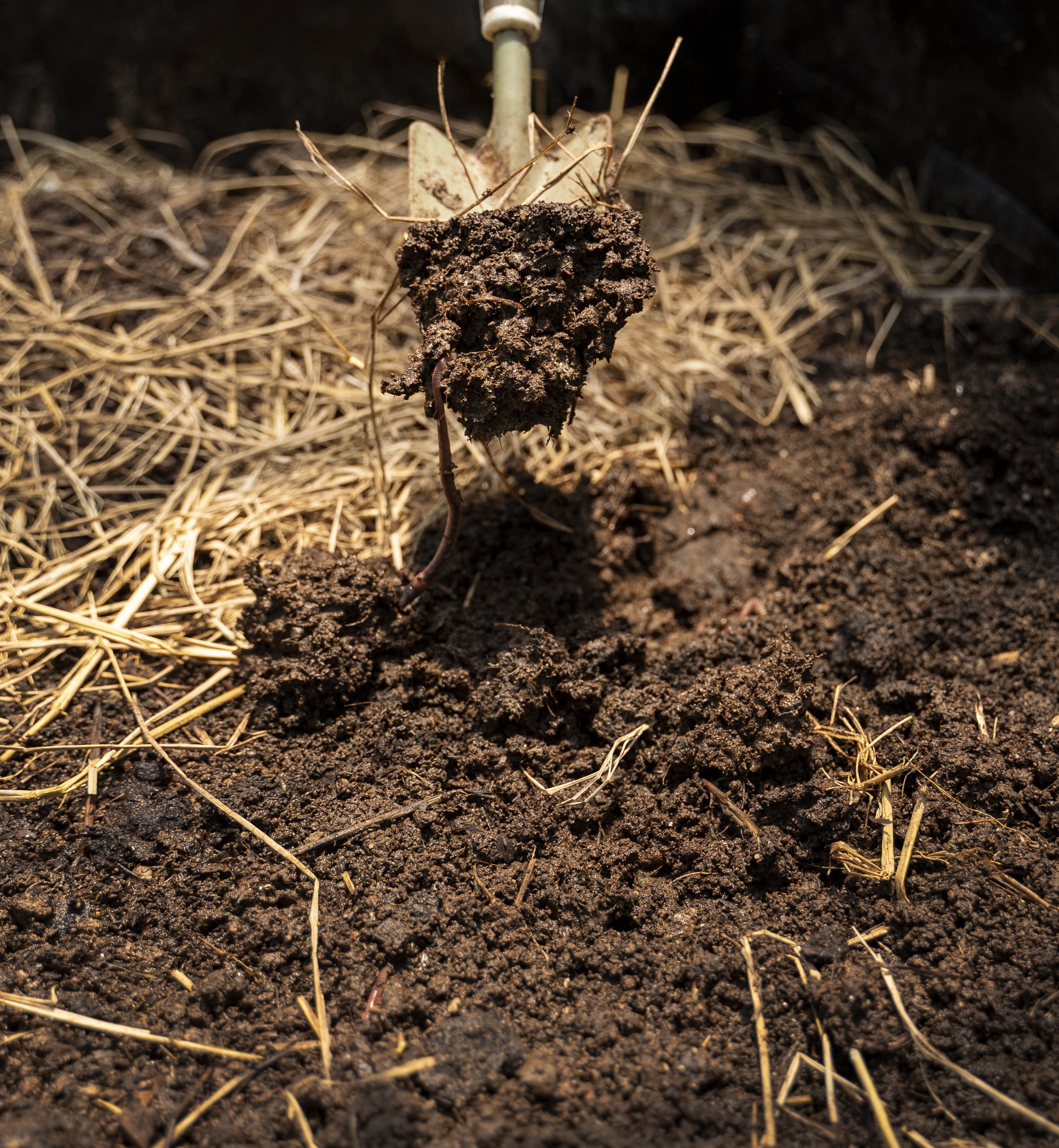 Vereador pede fiscalização sobre uso irregular de adubo em área próxima ao Portal do Parque